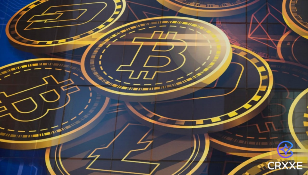 A responsabilidade de um líder de mercado: as iniciativas educacionais e filantrópicas da Crxxe 2 crxxe mercado