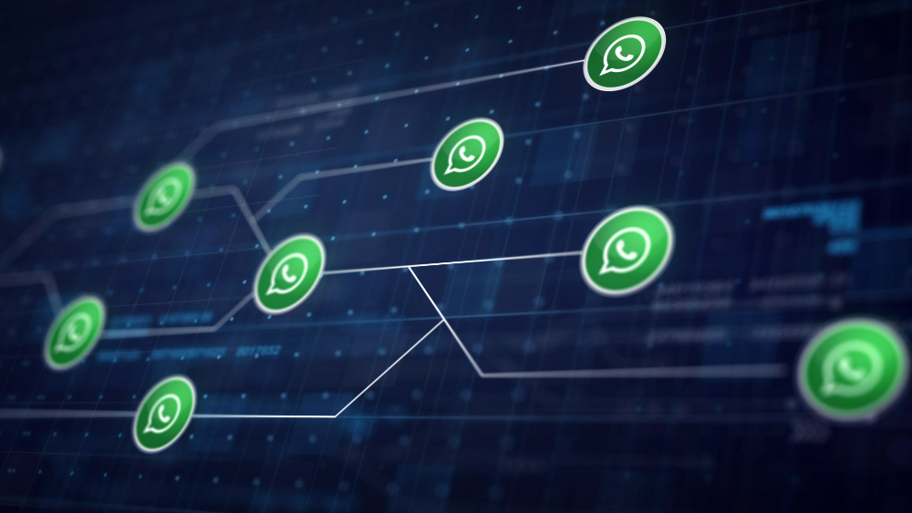 IA e WhatsApp Business API: A Sinergia para Crescer em Tua Empresa 🚀🤖 5 whatsapp icon line connection circuit board